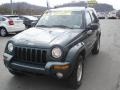 2002 Shale Green Metallic Jeep Liberty Limited 4x4  photo #16