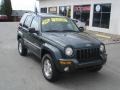 2002 Shale Green Metallic Jeep Liberty Limited 4x4  photo #18
