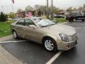 Cashmere 2003 Cadillac CTS Sedan Exterior