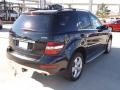 Black - ML 350 Photo No. 5