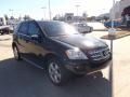 Black - ML 350 Photo No. 7