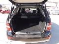 Black - ML 350 Photo No. 11