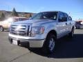 2010 Ingot Silver Metallic Ford F150 XLT SuperCrew 4x4  photo #3