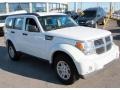 Bright White - Nitro Heat 4x4 Photo No. 3