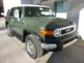 Army Green 2013 Toyota FJ Cruiser 4WD Exterior