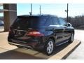 Black - ML 350 4Matic Photo No. 6