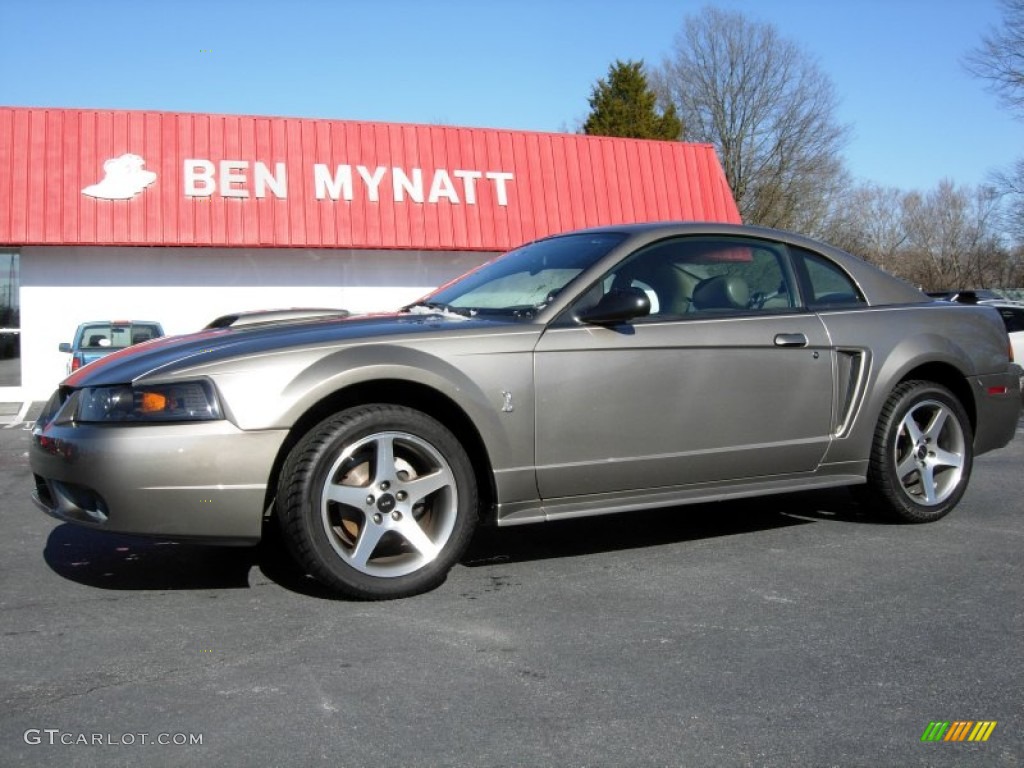 2001 Mustang Cobra Coupe - Mineral Grey Metallic / Medium Parchment photo #1