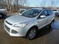 2013 Ingot Silver Metallic Ford Escape SE 1.6L EcoBoost 4WD  photo #4