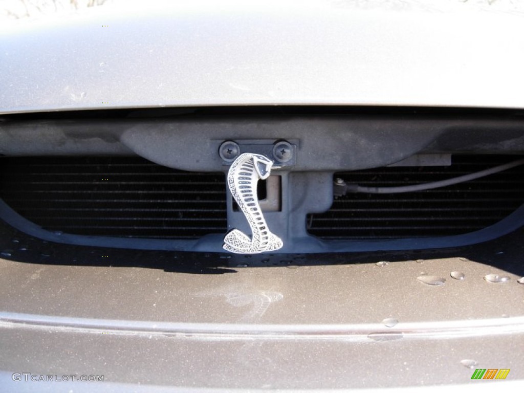 2001 Mustang Cobra Coupe - Mineral Grey Metallic / Medium Parchment photo #3