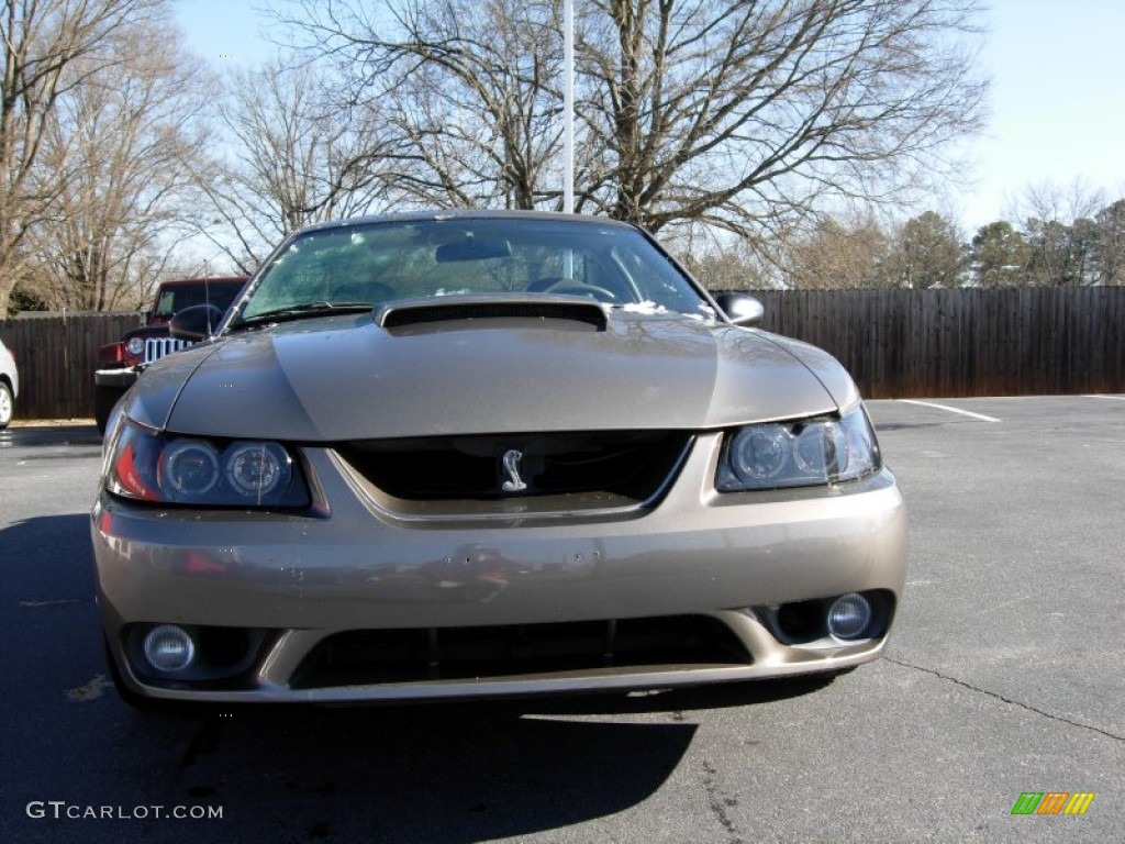 Mineral Grey Metallic 2001 Ford Mustang Cobra Coupe Exterior Photo #76086680