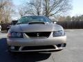 Mineral Grey Metallic 2001 Ford Mustang Cobra Coupe Exterior