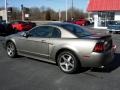 2001 Mineral Grey Metallic Ford Mustang Cobra Coupe  photo #8