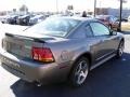 2001 Mineral Grey Metallic Ford Mustang Cobra Coupe  photo #10