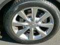 Platinum Graphite Gray - EX 35 Journey Photo No. 10