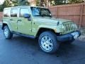 Commando Green - Wrangler Unlimited Sahara 4x4 Photo No. 2
