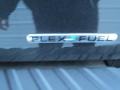 2013 Tuxedo Black Metallic Ford F150 Platinum SuperCrew  photo #19