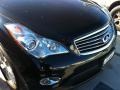 2010 Black Obsidian Infiniti EX 35 Journey  photo #3