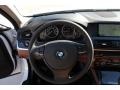 2013 Alpine White BMW 5 Series 528i Sedan  photo #10