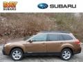 2013 Caramel Bronze Pearl Subaru Outback 2.5i Premium  photo #1