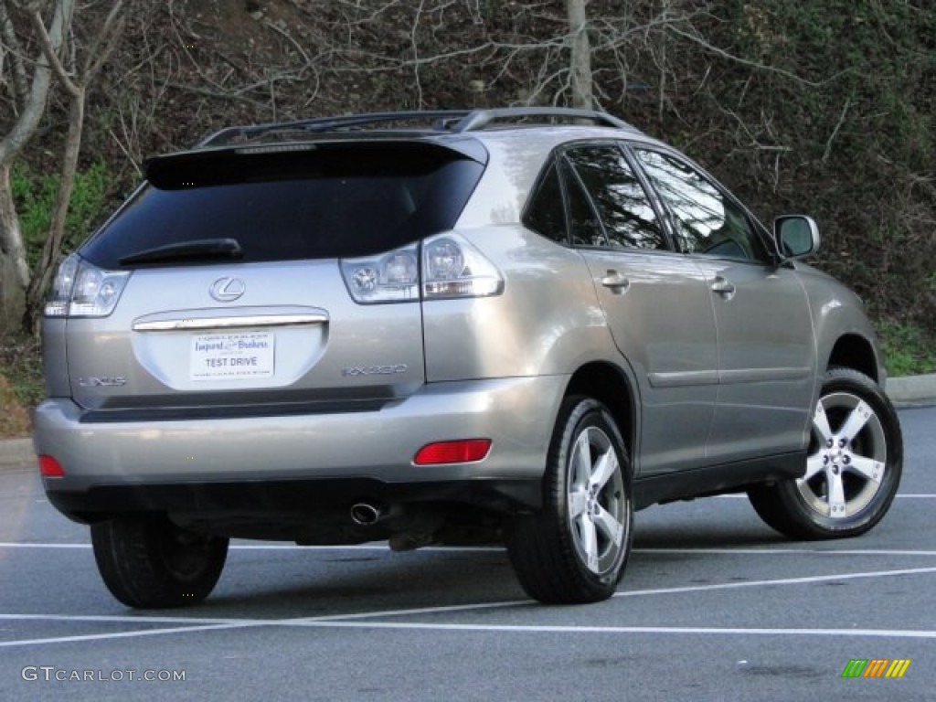 2005 RX 330 Thundercloud Edition - Thunder Cloud Metallic / Light Gray photo #2