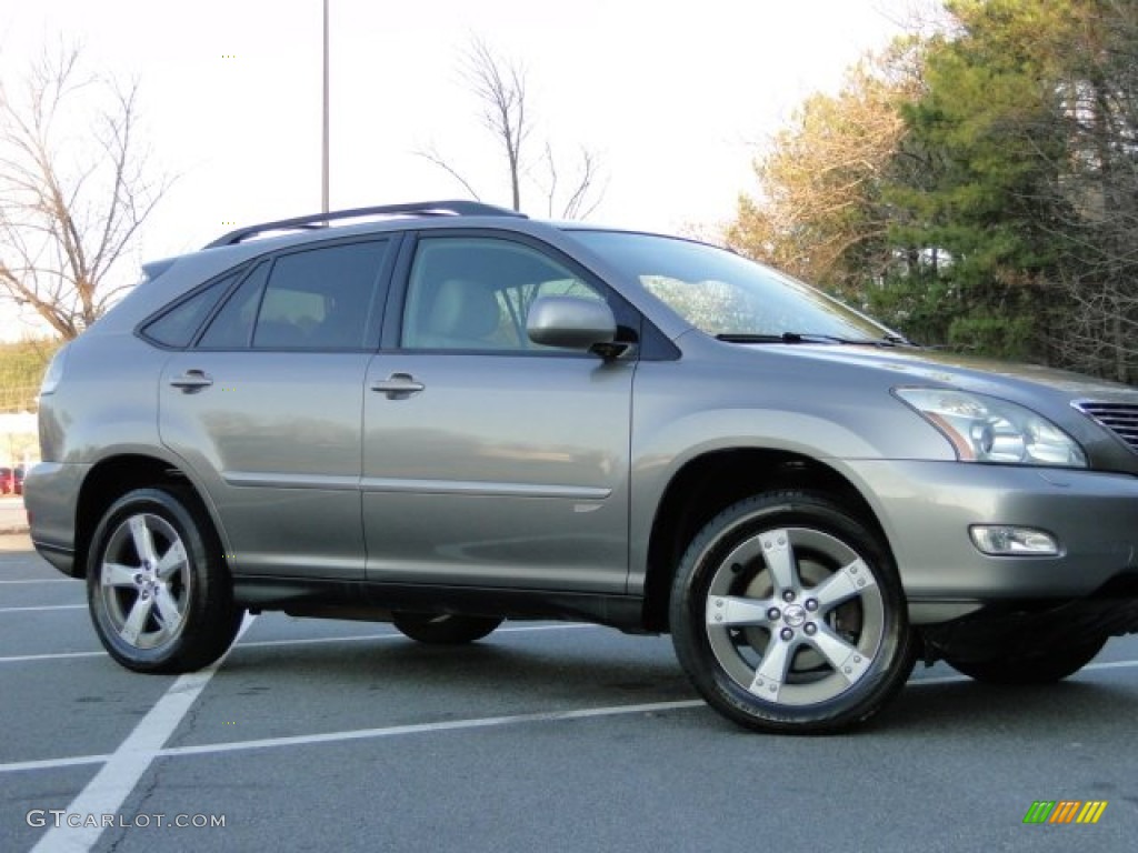 2005 RX 330 Thundercloud Edition - Thunder Cloud Metallic / Light Gray photo #4