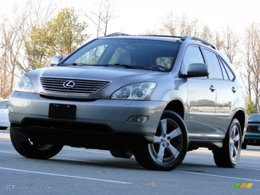 2005 RX 330 Thundercloud Edition - Thunder Cloud Metallic / Light Gray photo #6