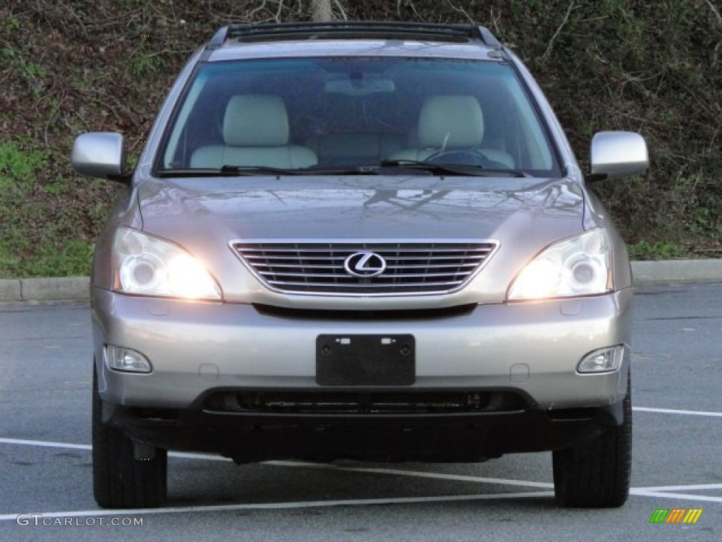2005 RX 330 Thundercloud Edition - Thunder Cloud Metallic / Light Gray photo #8