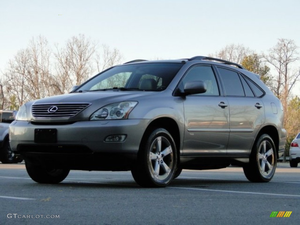 2005 RX 330 Thundercloud Edition - Thunder Cloud Metallic / Light Gray photo #9