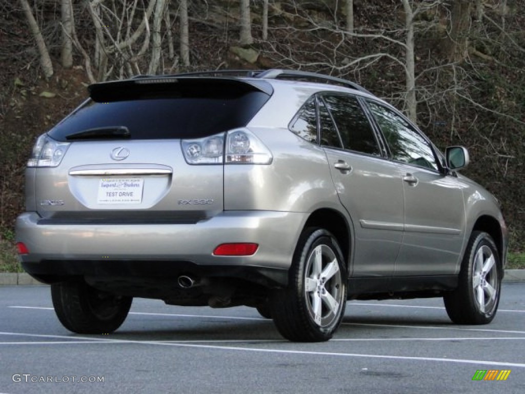 2005 RX 330 Thundercloud Edition - Thunder Cloud Metallic / Light Gray photo #12