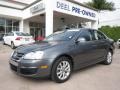 Platinum Grey Metallic - Jetta SE Sedan Photo No. 1