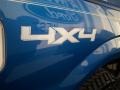 2010 Blue Flame Metallic Ford F150 XLT SuperCrew 4x4  photo #6