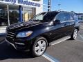 Black - ML 350 4Matic Photo No. 2