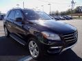 Black - ML 350 4Matic Photo No. 5