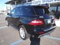 Black - ML 350 4Matic Photo No. 10