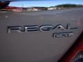 Stone Metallic - Regal CXL Photo No. 21
