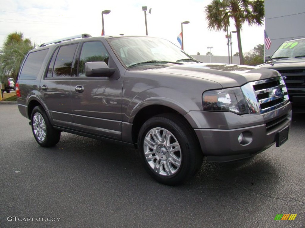 2011 Expedition Limited - Sterling Grey Metallic / Stone photo #2