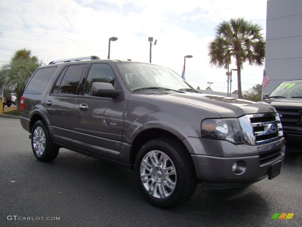 2011 Expedition Limited - Sterling Grey Metallic / Stone photo #3