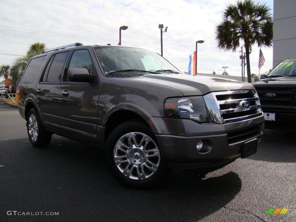 2011 Expedition Limited - Sterling Grey Metallic / Stone photo #6