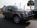 2011 Sterling Grey Metallic Ford Expedition Limited  photo #6