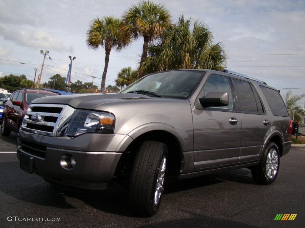 2011 Expedition Limited - Sterling Grey Metallic / Stone photo #7