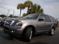 2011 Sterling Grey Metallic Ford Expedition Limited  photo #7