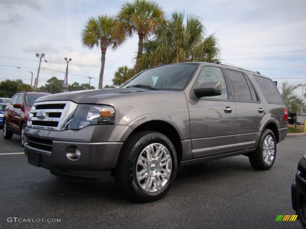 2011 Expedition Limited - Sterling Grey Metallic / Stone photo #11