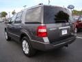 2011 Sterling Grey Metallic Ford Expedition Limited  photo #13