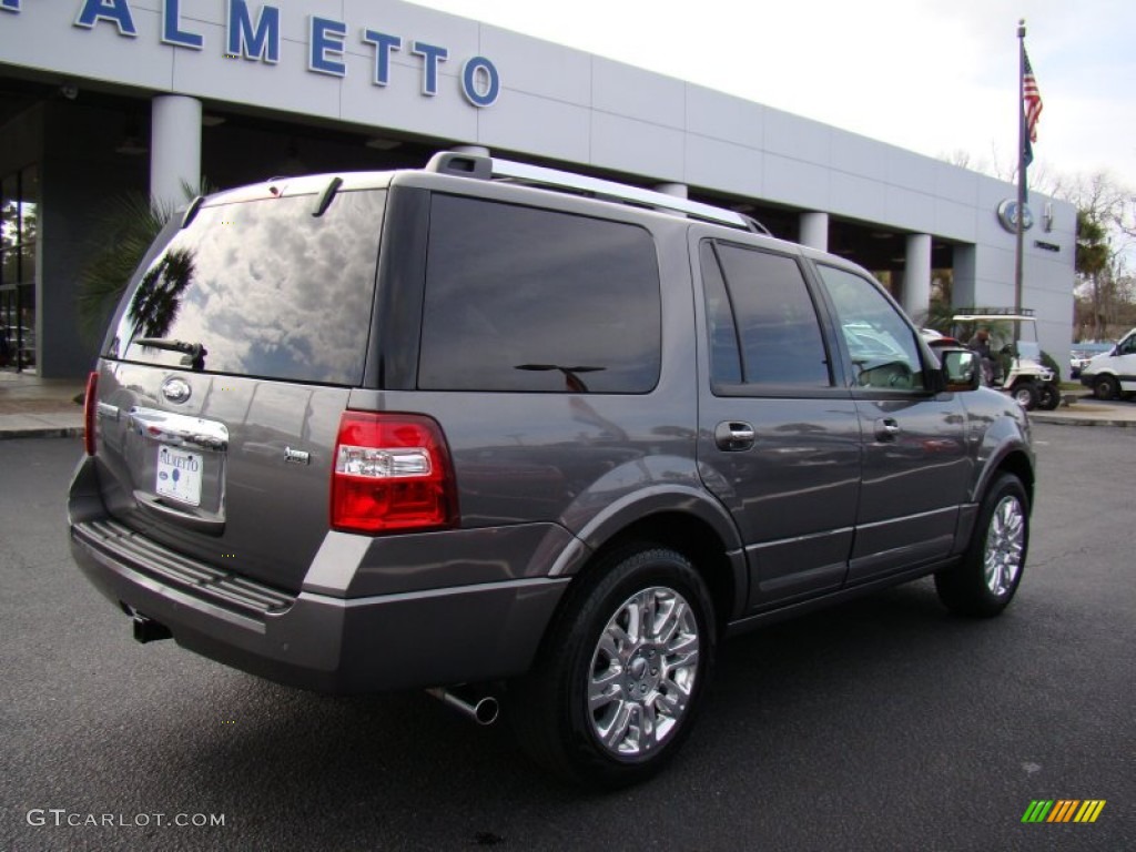 2011 Expedition Limited - Sterling Grey Metallic / Stone photo #15