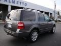 2011 Sterling Grey Metallic Ford Expedition Limited  photo #15