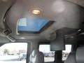 2004 Light Pewter Metallic Chevrolet Express 1500 Passenger Conversion Van  photo #14