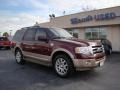 2011 Golden Bronze Metallic Ford Expedition King Ranch  photo #2