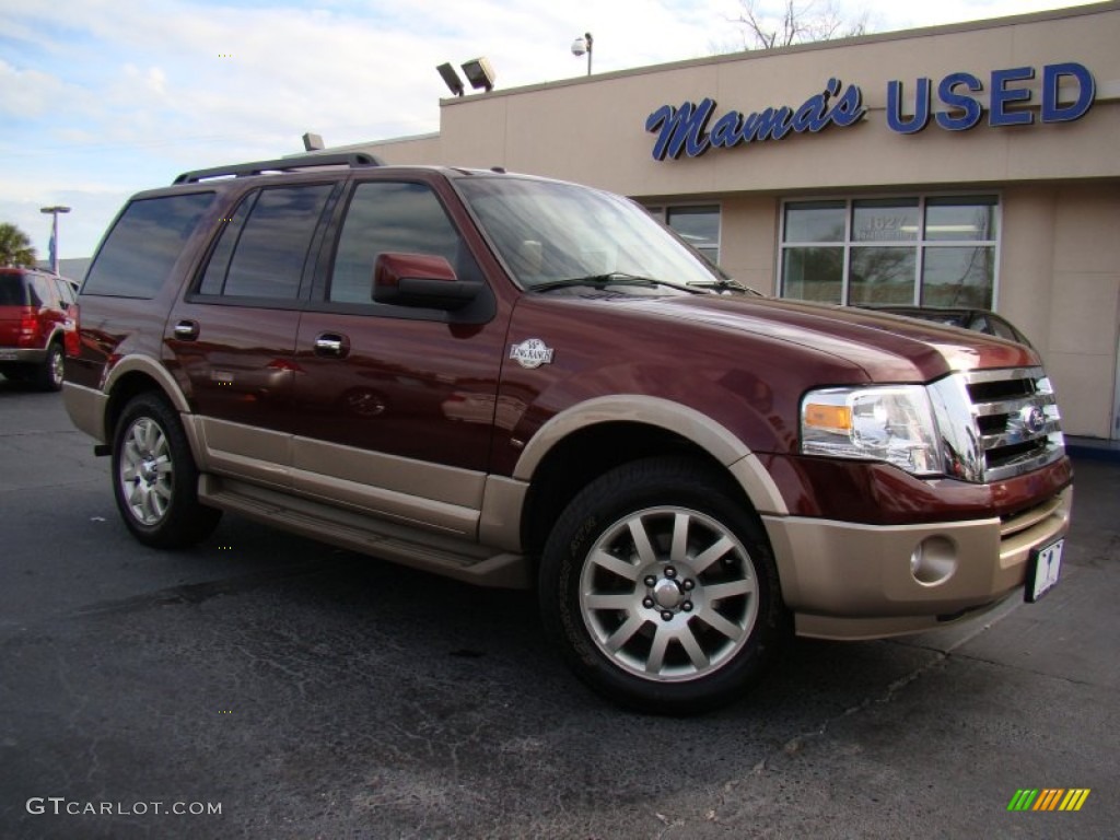 2011 Expedition King Ranch - Golden Bronze Metallic / Chaparral Leather photo #28