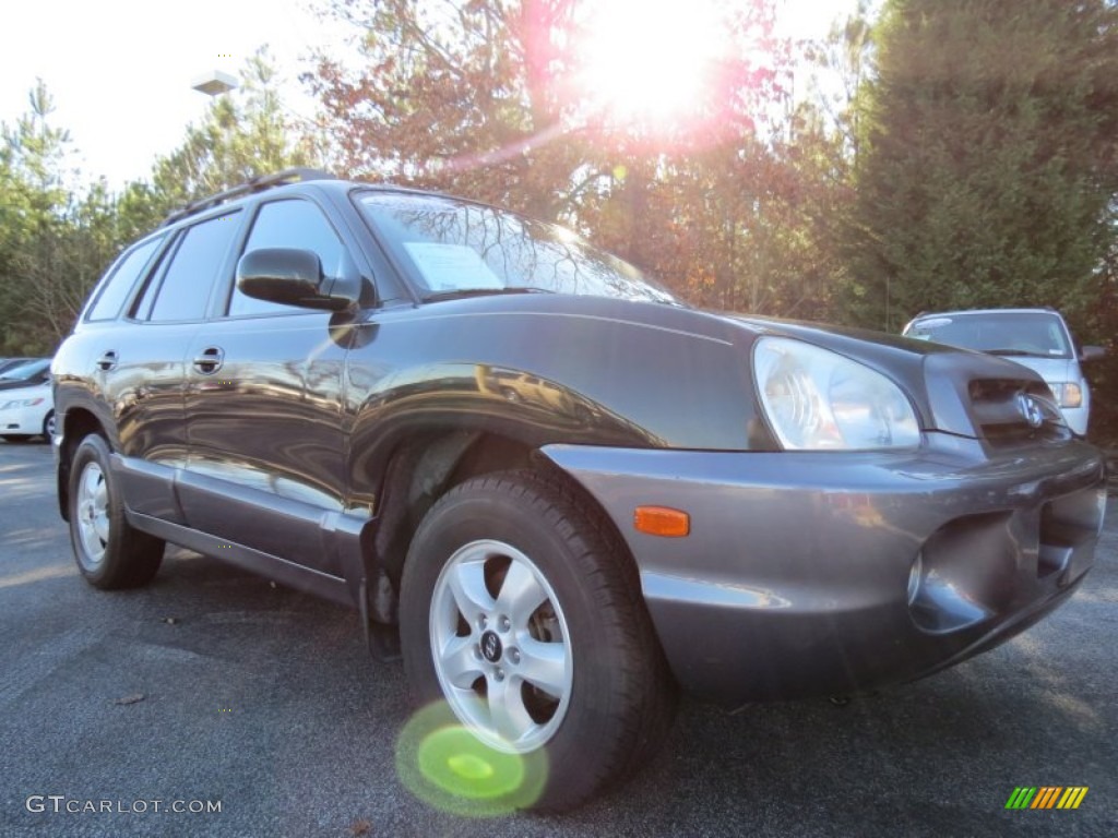 2006 Santa Fe GLS - Dark Emerald Green / Gray photo #4
