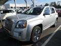 Quicksilver Metallic - Terrain Denali AWD Photo No. 2